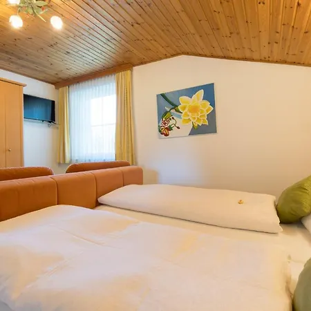 Appartement Tripolt Radstadt